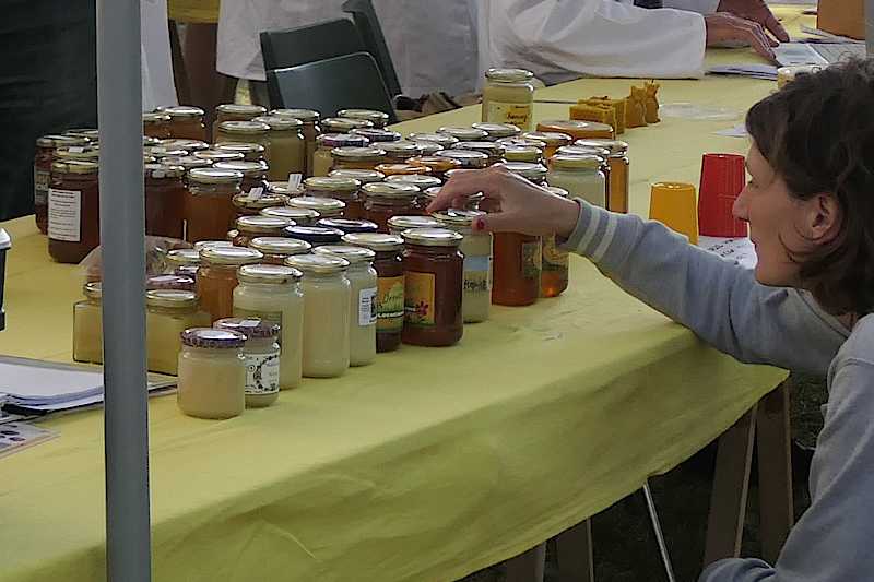 Bijkersgilde: de honingproeverij en het beoordelen van honingpotten en etiketten   (klik voor vergroting)