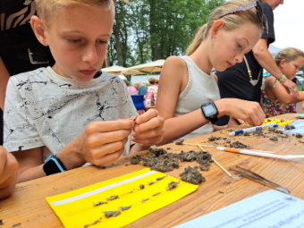 Braakballen pluizen bij IVN en de Steenuilenwerkgroep