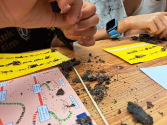 Braakballen pluizen bij IVN en de Steenuilenwerkgroep