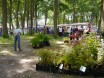 Singerend lint van marktkramen onder de bomen