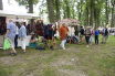 Marktkramen onder de bomen