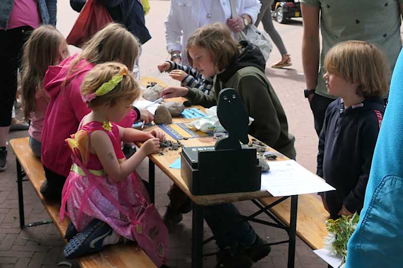 Braakballen pluizen bij de Steenuilenwerkgroep